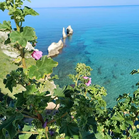 Appartamento Les Voiles Terrasini